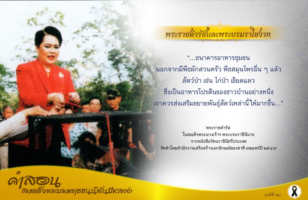 คำสอนสมเด็จพระบรมราชชนนีพันปีหลวง องค์ที่ ๒๐