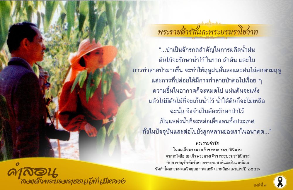 คำสอนสมเด็จพระบรมราชชนนีพันปีหลวง องค์ที่ ๙